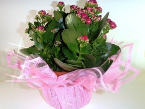 Do dekoracji kwiatów 62